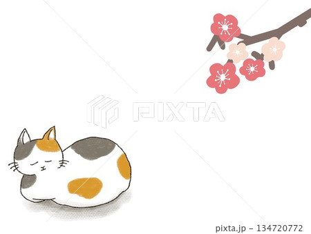さくら猫のイラスト素材 - PIXTA
