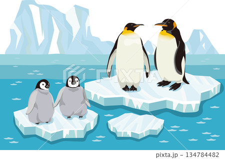 ペンギン エンペラーペンギン 親子 雛のイラスト素材 - PIXTA