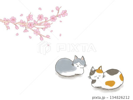 猫 春 桜 満開のイラスト素材 - PIXTA