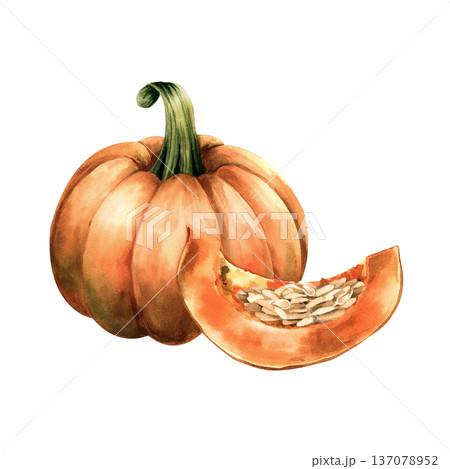 南瓜 かぼちゃ 水彩画 野菜の写真素材 - PIXTA