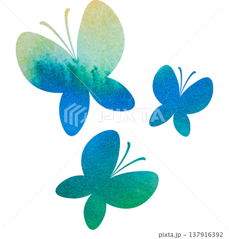 バタフライ 綺麗 蝶 イラストの写真素材 - PIXTA