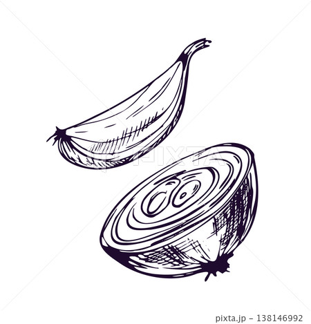 タマネギ 野菜 モノクロ 白黒のイラスト素材 - PIXTA
