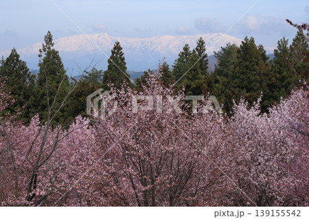 飯豊連峰 山 飯豊山 桜の写真素材 - PIXTA